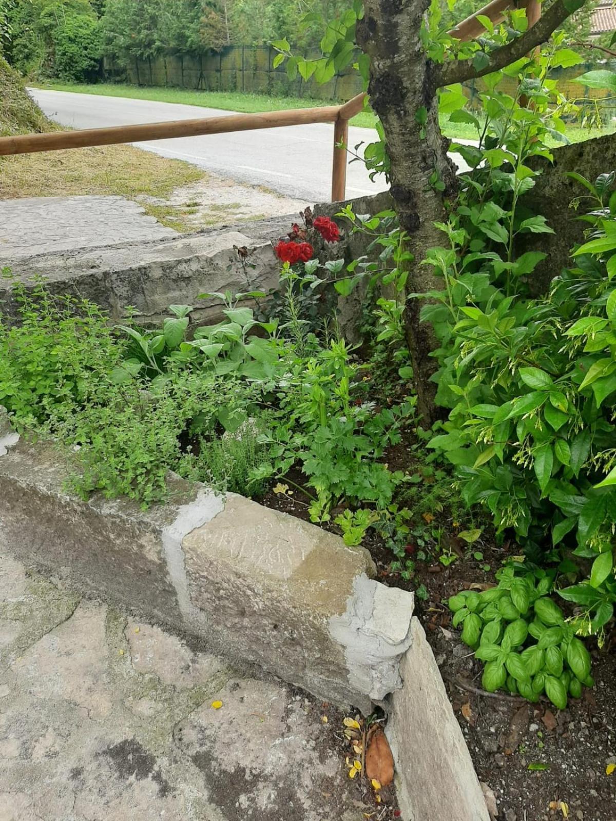Il Caminetto Apartment Carpinone Exterior photo